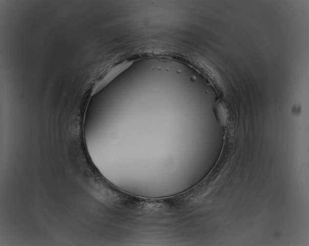 X0000089930401200707131436