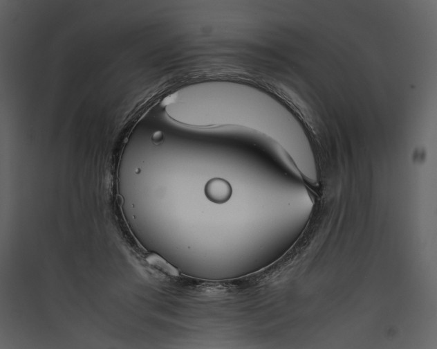 X0000089930405200707131436