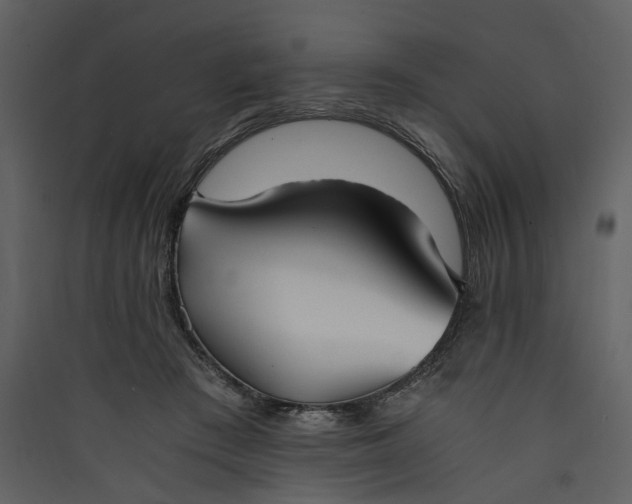 X0000089930409200707131436