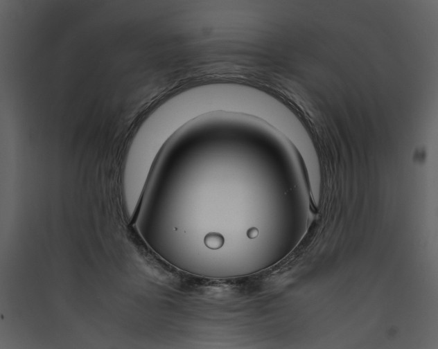 X0000089930411200707131436