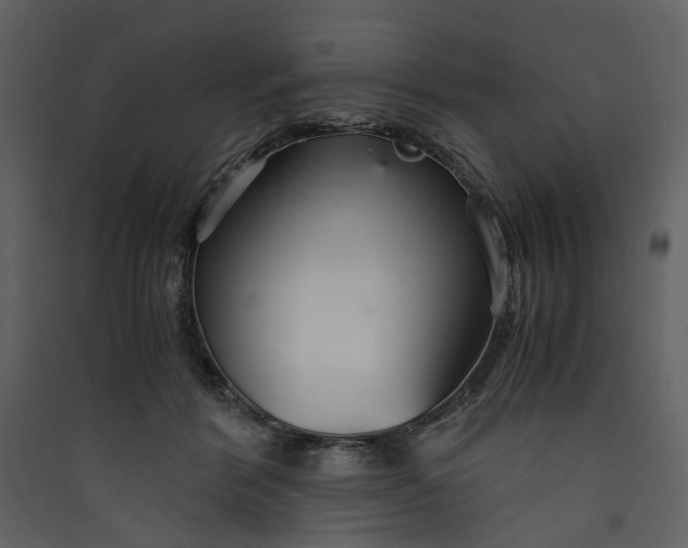 X0000089930412200707131436