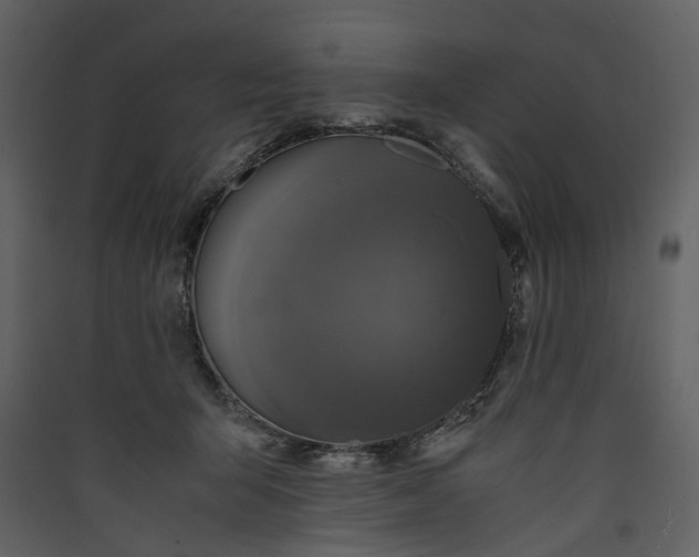 X0000089930415200707131436