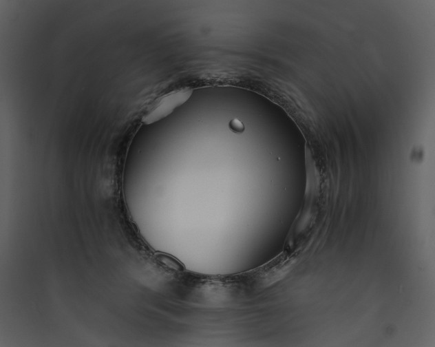 X0000089930416200707131436