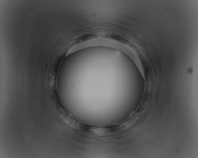 X0000089930417200707131436