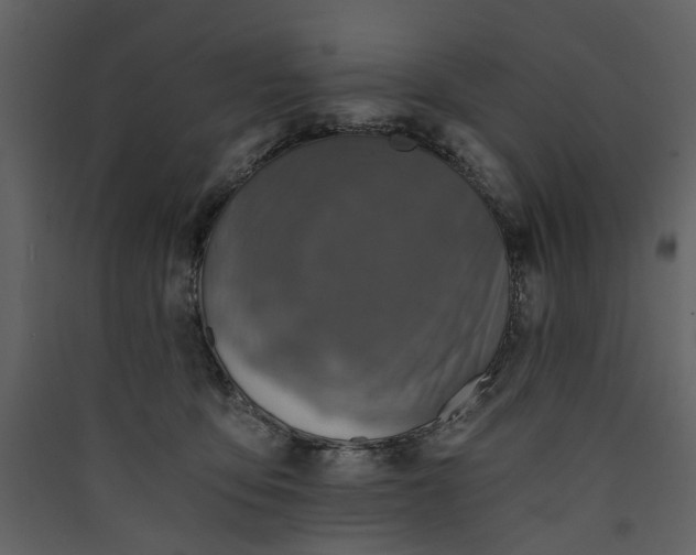 X0000089930419200707131436