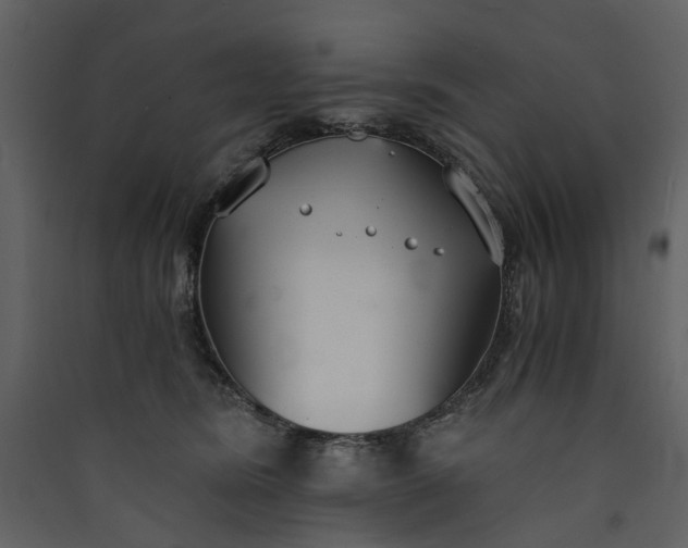 X0000089930420200707131436