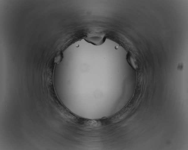 X0000089930421200707131436