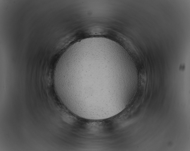 X0000089930422200707131436