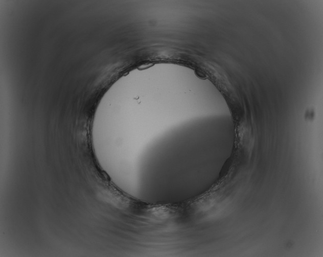 X0000089930423200707131436