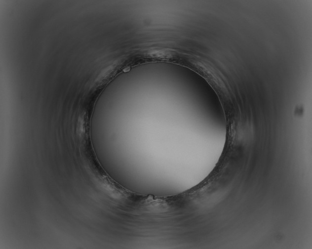 X0000089930424200707131436