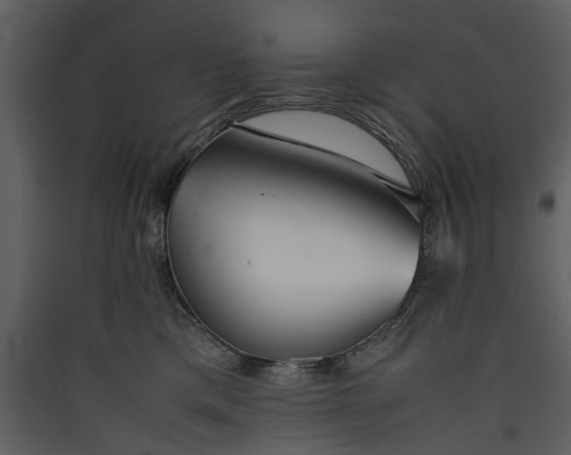 X0000089930425200707131436