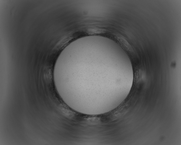 X0000089930426200707131436