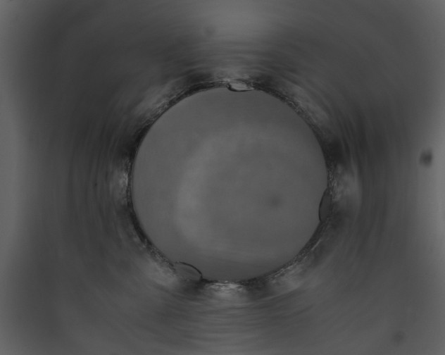 X0000089930427200707131436