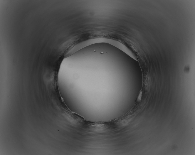 X0000089930428200707131436