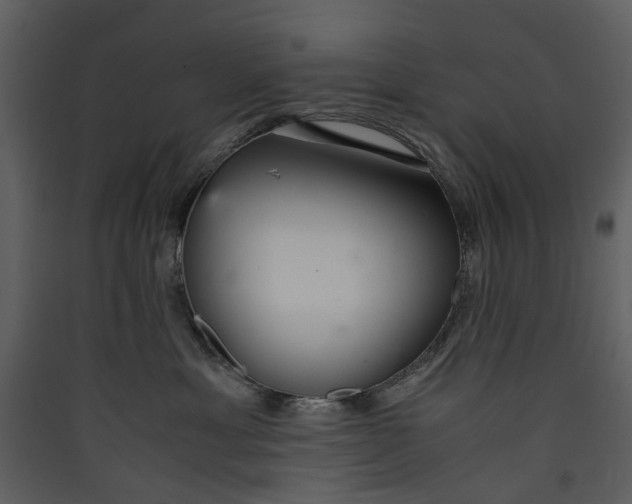 X0000089930429200707131436