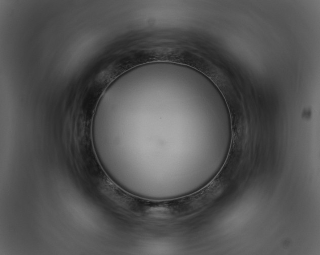 X0000089930430200707131436