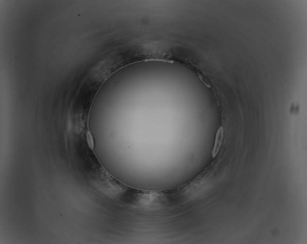 X0000089930432200707131436