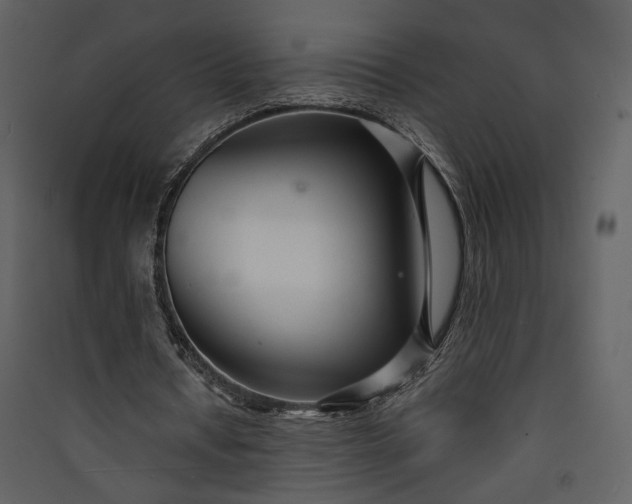 X0000089930434200707131435