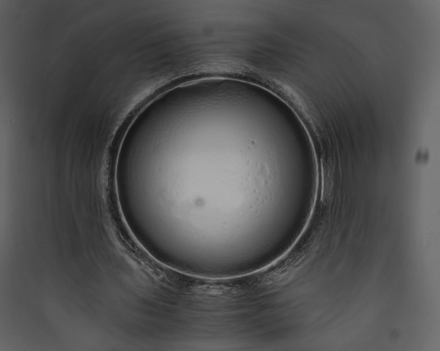 X0000089930435200707131435