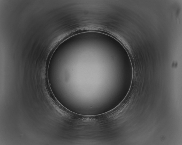 X0000089930437200707131435