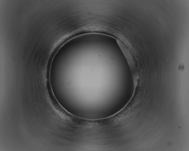 X0000089930438200707131435