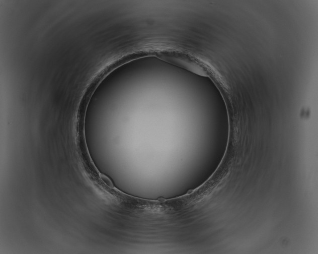 X0000089930439200707131435