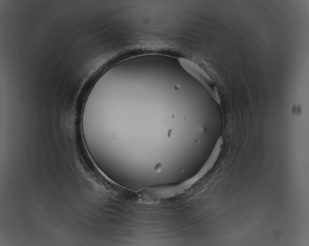 X0000089930440200707131435