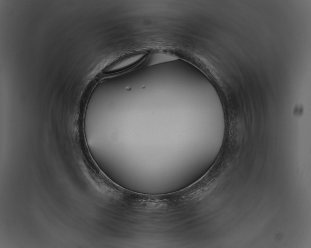 X0000089930443200707131435