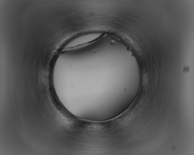 X0000089930444200707131435