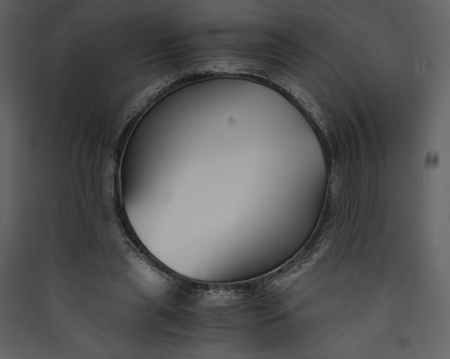 X0000089930445200707131435