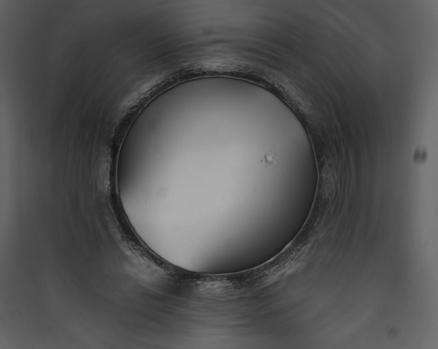 X0000089930446200707131435