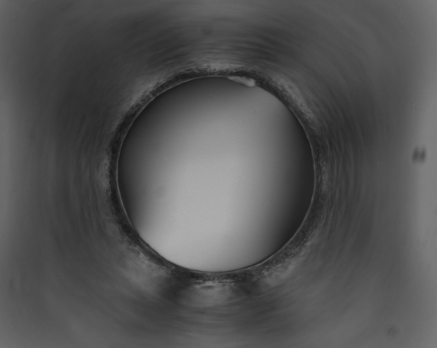 X0000089930447200707131435