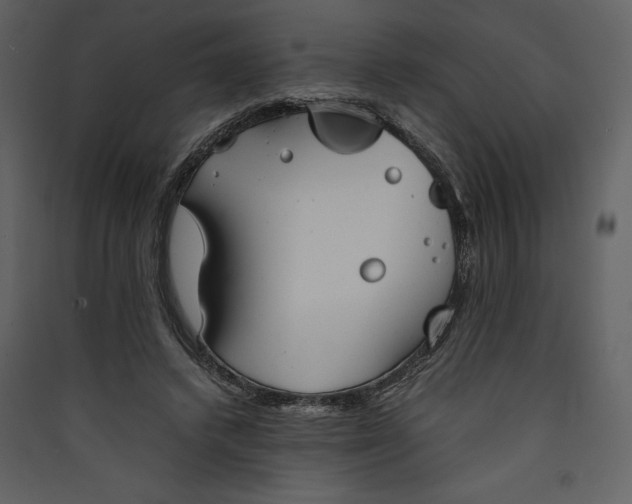 X0000089930448200707131435