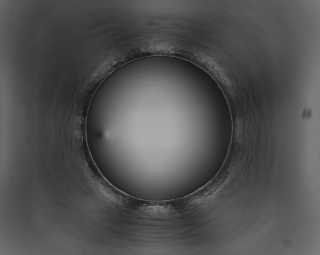 X0000089930449200707131435