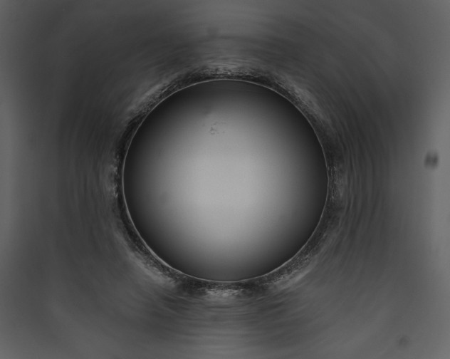 X0000089930450200707131435