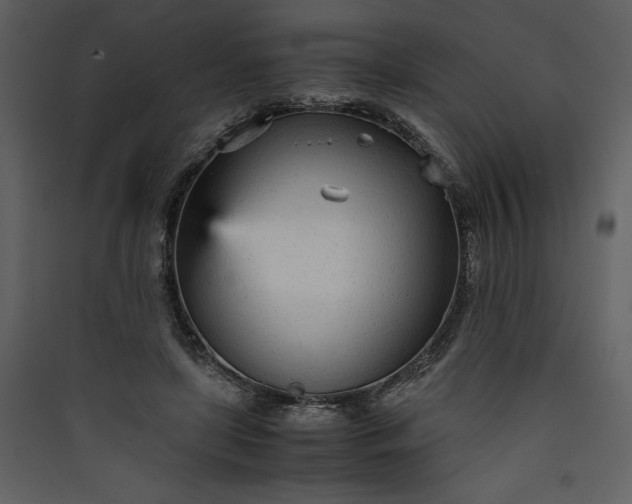 X0000089930451200707131435