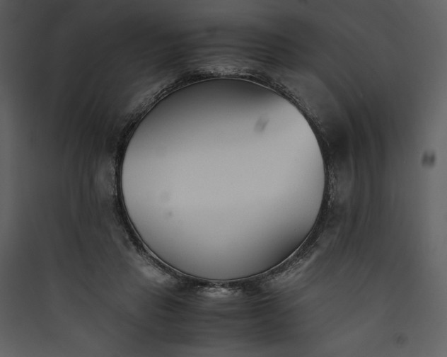 X0000089930453200707131435