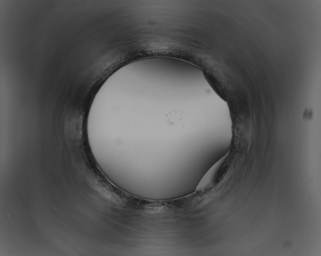 X0000089930454200707131435