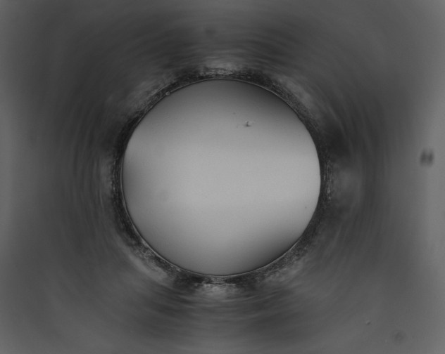 X0000089930455200707131435