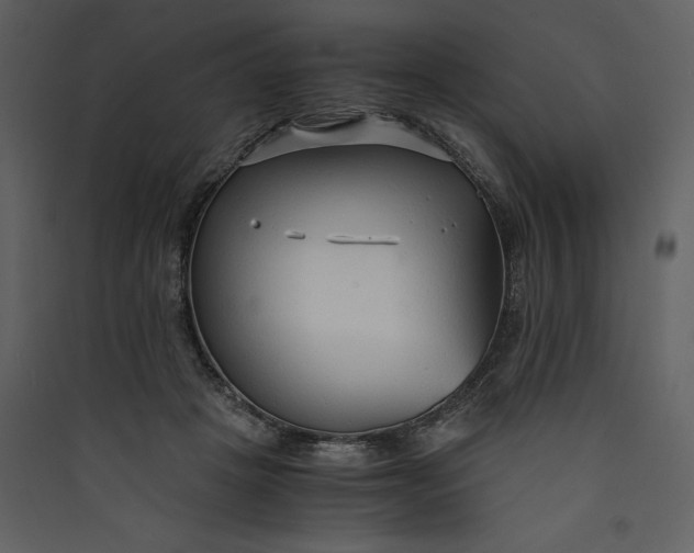 X0000089930457200707131435