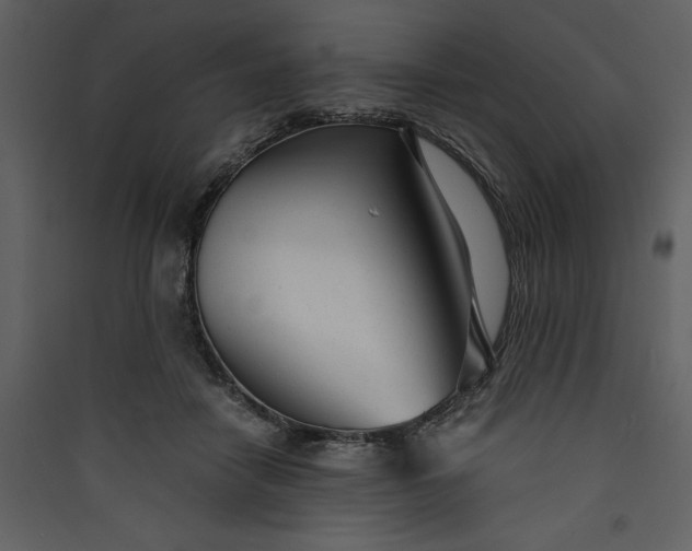 X0000089930458200707131435