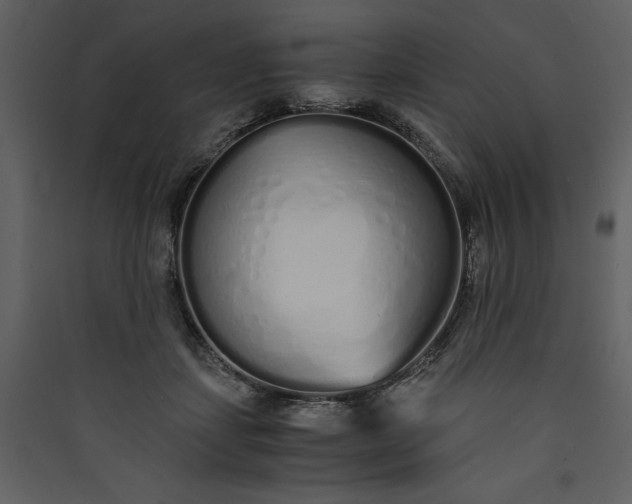 X0000089930459200707131435