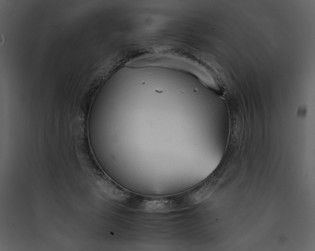 X0000089930461200707131435