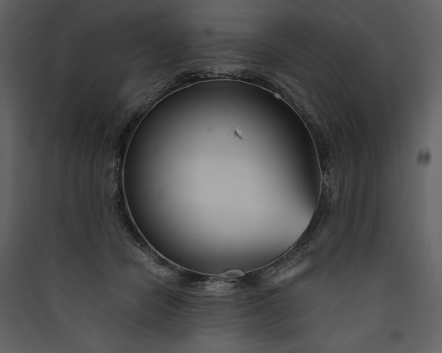 X0000089930462200707131435