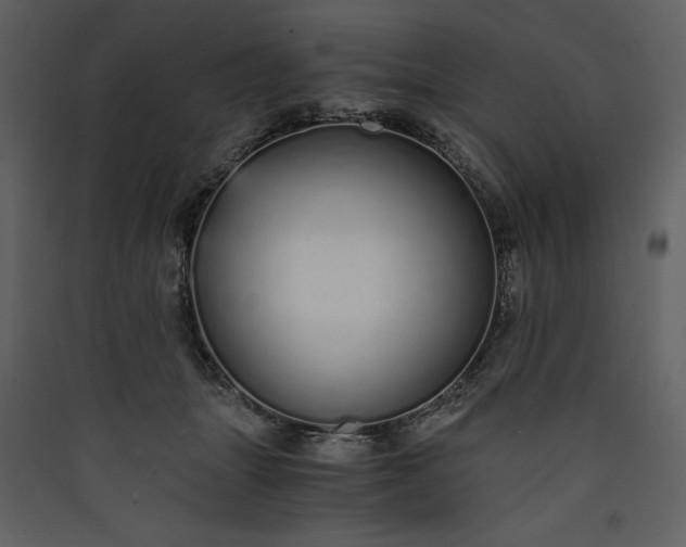 X0000089930463200707131435