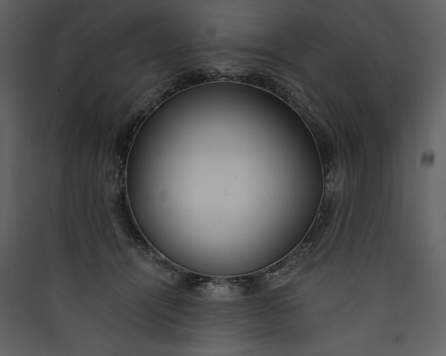 X0000089930464200707131436