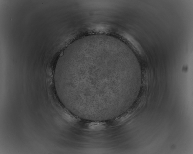 X0000089930465200707131436