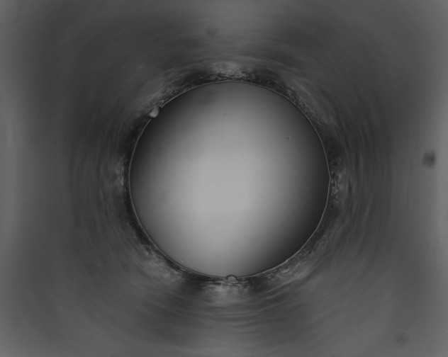 X0000089930466200707131436