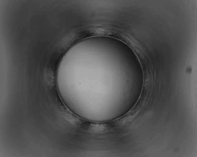 X0000089930469200707131436