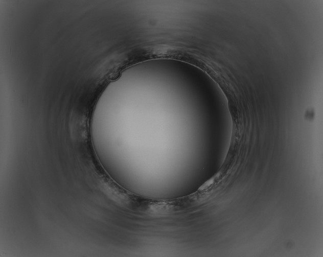 X0000089930470200707131436